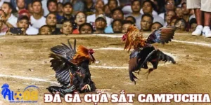 Giới thiệu về đá gà cựa sắt Campuchia