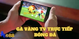 Sử dụng Gà Vàng TV trực tiếp bóng đá với hình ảnh sắc nét